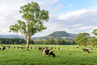 European Government Agency Manages Livestock with Chainway Handheld Computers