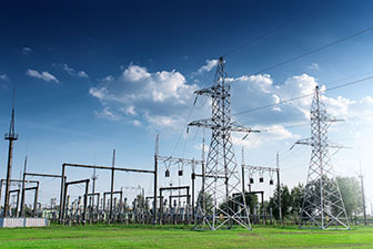Fixed Asset Management for a Power Grid Company