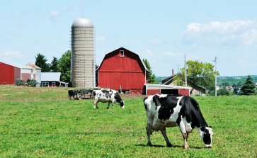 Farm Management